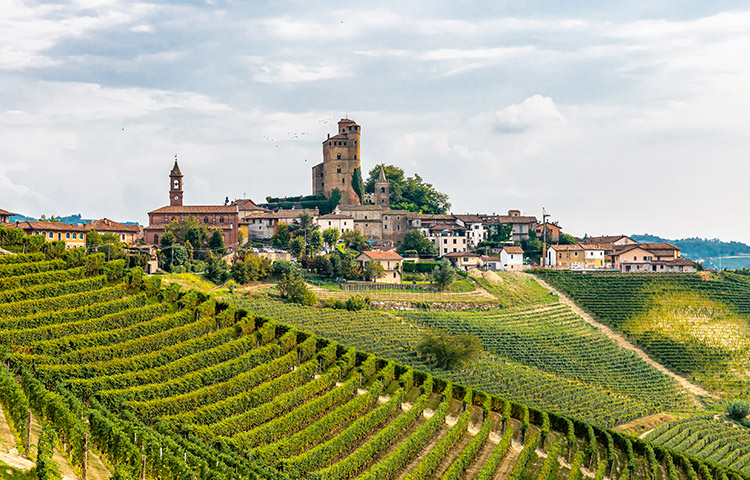 viaggio NCC alla scoperta di Langhe e Roero Noleggio auto con conducente Torino Ncc Torino - Piemonte
